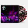 THE BLACK ANGELS Levitation Sessions - Record Store Day Edition - Vinyl 2xLP (coke bottle clear red black splatter) + DVD