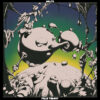 MELTS Field Theory - Vinyl LP (clear green)