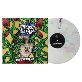 THE STORY SO FAR What You Don't See - Vinyl LP (crayons marble)