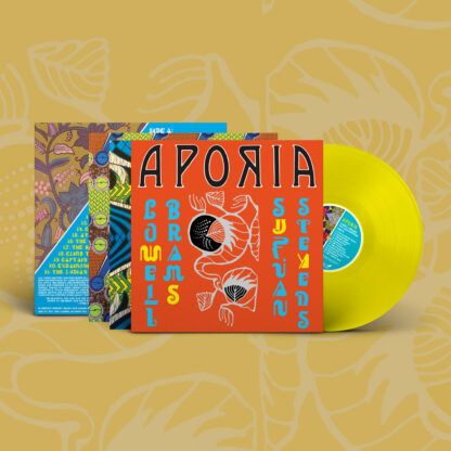 SUFJAN STEVENS & LOWELL BRAMS Aporia - Vinyl LP (yellow)