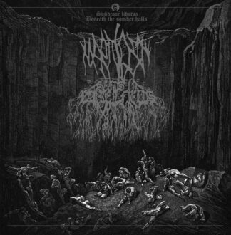 MARNOST / SEEDS IN BARREN FIELDS Split - Vinyl LP (black)