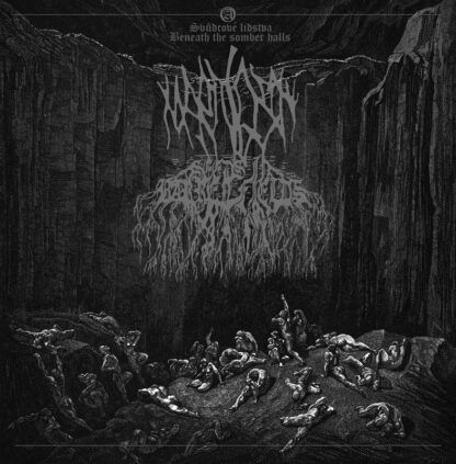 MARNOST / SEEDS IN BARREN FIELDS Split - Vinyl LP (black)