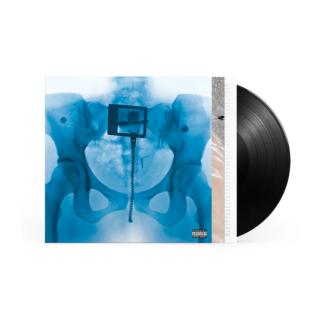 LORDE Virgin - Vinyl LP (black)