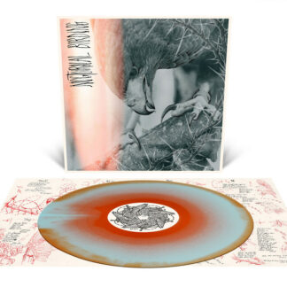 AUTHOR & PUNISHER Nocturnal Birding - Vinyl LP (orange krush baby blue merge)