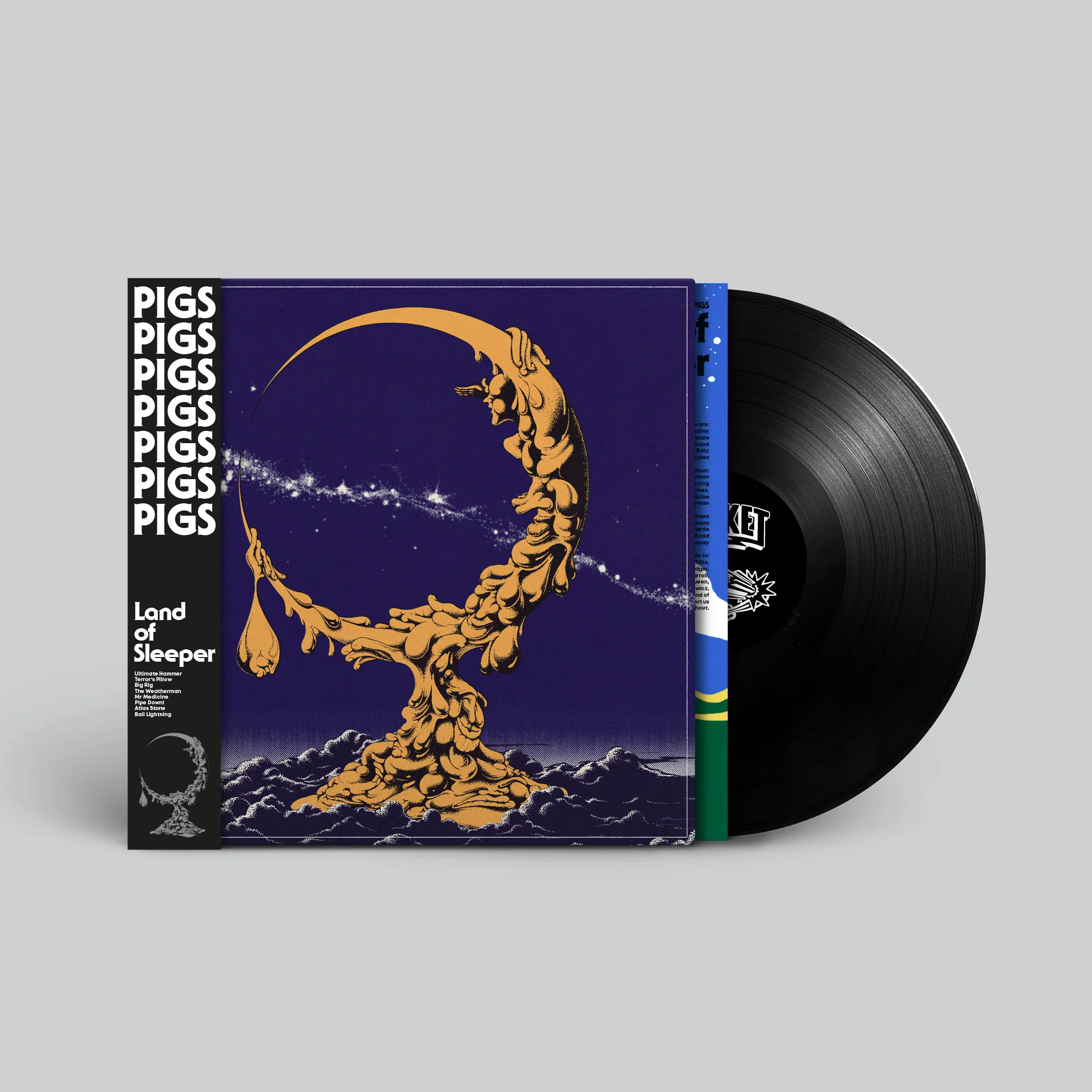 PIGS PIGS PIGS PIGS PIGS PIGS PIGS Land Of Sleeper - Vinyl LP (black)