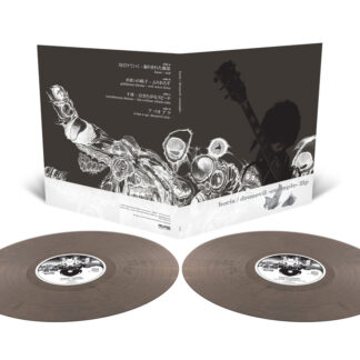 BORIS Dronevil -example- - Vinyl 2xLP (custom gun metal grey)