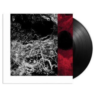 BRUIT ≤ Monolith - Vinyl LP (black)