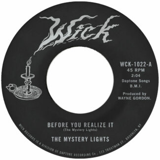 THE MYSTERY LIGHTS Before You Realize It b/w Cerebral Crack - Vinyl 7" (black)