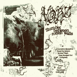 NOHZ Slumber Between Rotten Walls - Vinyl LP (black)