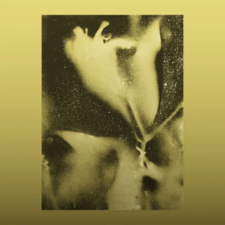 FLYING LOTUS 1983 - Vinyl LP (gold splatter)