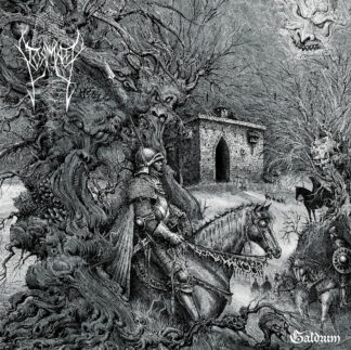 STORMKEEP Galdrum - Vinyl LP (clear smoke)