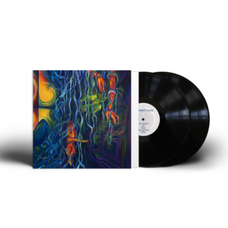 WHEOBE A Strained Ocean - Vinyl 2xLP (black)