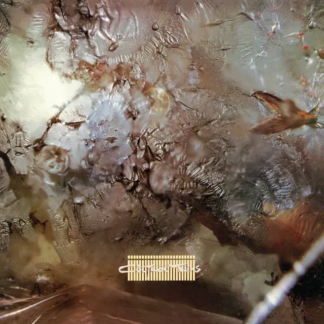 COCTEAU TWINS Head Over Heels - Vinyl LP (black)