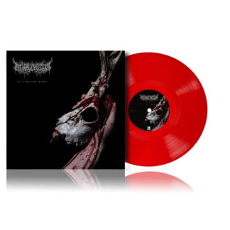 MENTAL CRUELTY Echoes of a Forlorn Land - Vinyl LP (transparent red)