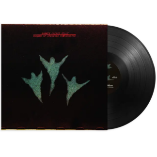 BONNIE PRINCE BILLY Ghosts of American Psychonauts - Vinyl LP (black)