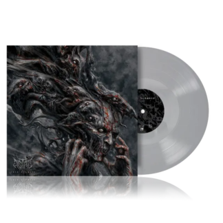 DISTANT Into Dispair - Vinyl LP (grey)